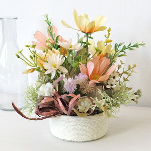  RXXƃzCg[Y̏HFAW H̃AW VNt[ CTG} G} t[AW CeA t[AWg arg