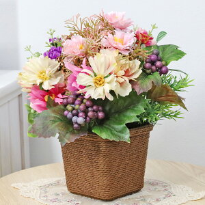  RԂǂ̓RXX̃AW H̃AW VNt[ CTG} G} t[AW CeA t[AWg arg