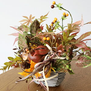  ؂̎Ƃ݂̎tAW H̃AW VNt[ ~W gt CTG} G} t[AW CeA t[AWg arg