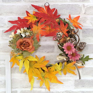  ݂Ƃǂ񂮂̂킢Ԃȃ[X H̃AW VNt[ ~W gt CTG} G} t[AW CeA t[AWg arg