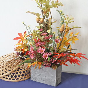  ǂ񂮂Ƃ݂̖ؐ̊ɓAW H̃AW VNt[ ~W gt CTG} G} t[AW CeA t[AWg arg