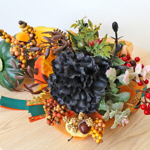  ubNJ[l[VƖ؂̎̉ԑ nEB  ڂ J{` pvL VNt[ H̃AW CTG} G} t[AW CeA t[AW