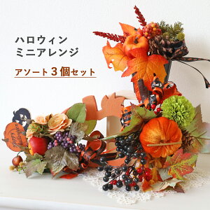  nEB~jAW A\[g3Zbg nEB   ڂ J{` pvL VNt[ H̃AW CTG} G} t[AW CeA t[A