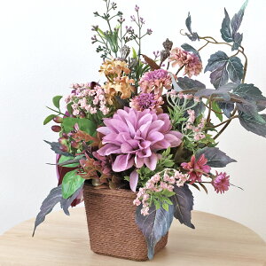  HF_Aƃf[W[̃oXPbgAW H̃AW VNt[ CTG} G} t[AW CeA t[AWg arg