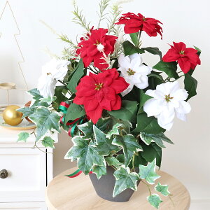  |CZ`AƃACr[̃|bgAW NX}X   VNt[ CTG} G} t[AW CeA t[AWg arg