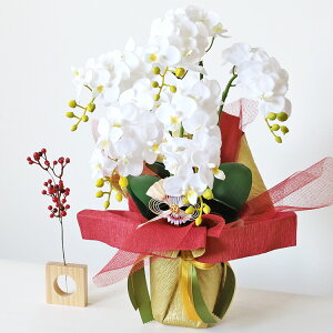   Ӓ̔A5{ VNt[  ֏  CTG} G} t[AW CeA t[AWg arg