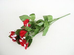  5փ[YubV F5{g VNt[ CTG} G} o KN tan