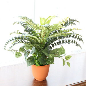  CeA ϗtA fBtFoLAA\[g̔A 45cm tFCNO[ CTG} G} mgr