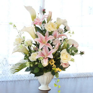  JTuJƃJ[[̉؂₩ȃAW VNt[ CTG} G} t[AW CeA t[AWg arg