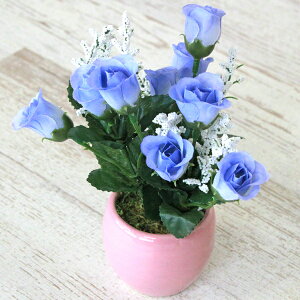  ~ju[[Ỹv`AW VNt[ CTG} G} o KN t[AW CeA t[AWg arg