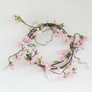   ̃K[h  TN  FLG0301  fBXvC Bep VNt[ tan