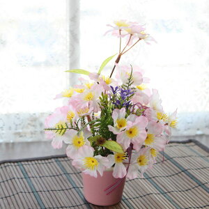  ̂ЂTCỸpXeJ[̉Ԋɓ̃AW VNt[  TN CTG} G} t[AWg CeA arg