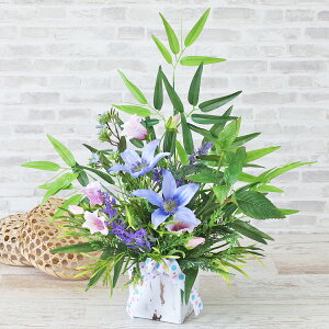  CeA |ɂƃN}`XƃJpj̗ȃAW [ ϗtA tFCNO[ CeAO[ VNt[ Jpj CTG} G} t[AW 