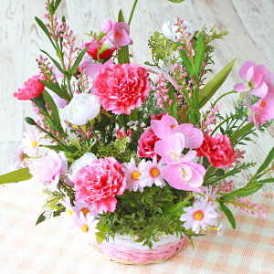  sNF̃f[W[̃̕t[AW k VNt[ CTG} G} CeA t[AWg arg