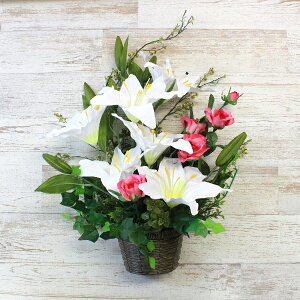  ӂĂ㎿̃JTuJ̕Ǌ| VNt[ CTG} G} AW t[AW CeA t[AWg arg