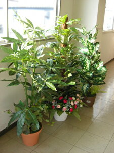  CeA ϗtA ^ tFCN CeAO[3{ tFCNO[ snb CTG} G} bgr