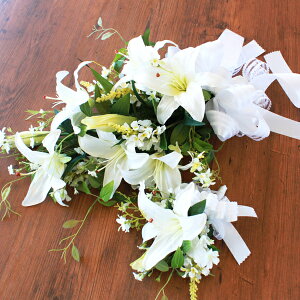  vC}JTuJƃgmĨu[Pƃu[gjÃZbg VNt[ uC_ EFfBO CTG} G} AW t[AW CeA t[AW