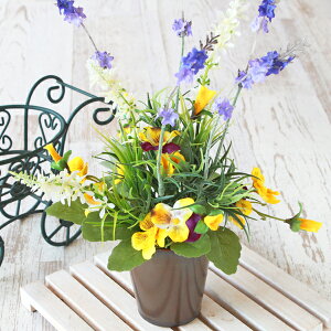  CeA 2F̃x_[ƃpW[̃AW ₵̃AW VNt[ CTG} G} hV̓ t[AW t[AWg arg