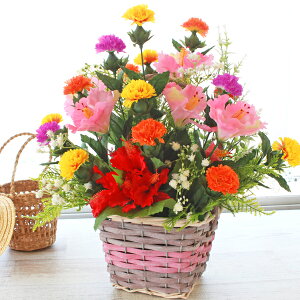  JtȃxjoiƃnCrXJX̉Ă̂AW CTG} G} VNt[ t[AW CeA t[AWg arg