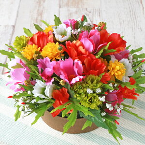  CeA JtȃRXXƃ~j}̃h[^AW ₵̃AW VNt[  H CTG} G} hV̓ t[AW t[AWg arg