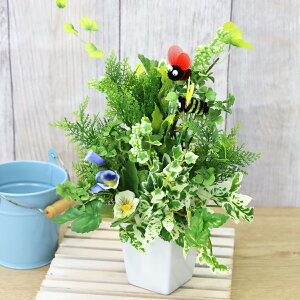  CeA lt̃N[o[ƃx[̃AW ₵̃AW VNt[ CTG} G} hV̓ t[AW t[AWg arg