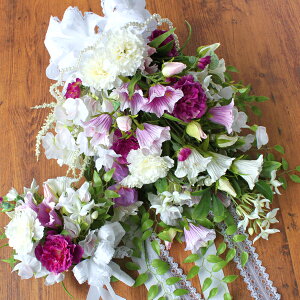  p[ṽJ[l[Vxt[̃u[Pƃu[gjAAW VNt[ uC_ EFfBO CTG} G} t[AW CeA t[AW