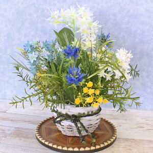  _Ch[ƃJJt[̗ȃAW VNt[ CTG} G} ll t[AWg CeA arg