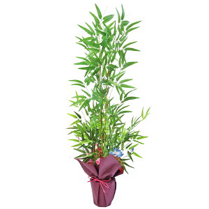  CeA  |̔A 130cm [  A lHϗtA tFCNO[ CeAO[ CTG} G} bgr