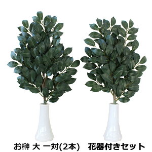   VNt[̂  64cm  (ԊtZbg) _I 嗧 TJL  CTG} G} Rvyasuz