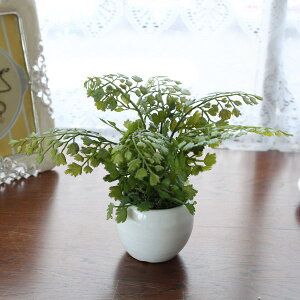 アジアンタム 造花 観葉植物の人気商品 通販 価格比較 価格 Com アジアンタム 造花 観葉植物の人気商品 通販 価格比較 価格 Com