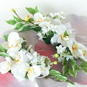  ^ȌӒ̃XbO (St) VNt[ EFfBO uC_ CTG} G} AW t[AW CeA t[AWg arg