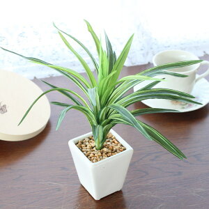  CeA hZi~j|bg F3448 ϗtA tFCNO[ CeAO[ CTG} G} mgr