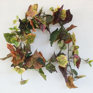  CeA I[^O[v[tK[hLEG-0331 ϗtA tFCNO[ CeAO[ VNt[ CTG} G} H tan