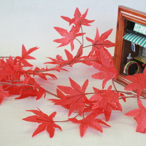  ϗtA CeA ݂K[h VD-5095 gt tFCNO[ CeAO[ VNt[ CTG} G} tan