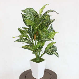  CeA A^b`[u̔A 60 2876 VNt[ ϗtA tFCNO[ CeAO[ CTG} G} mgr