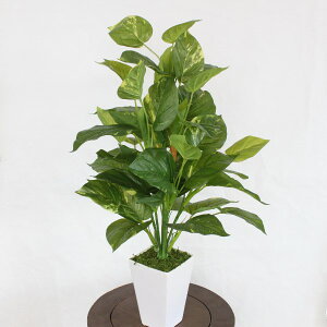  CeA |gX̔A 60 t2878 ϗtA tFCNO[ CeAO[ VNt[ CTG} G} mgr