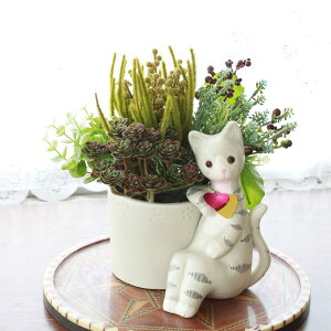  ̋C炮L̉ԊɏO[CeA VNt[ CTG} G} AW t[AW t[AWg arg