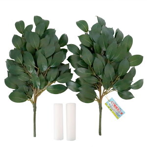   VNt[̂  44cm  (TJL ) _Ip ԊŒpX|Wt CTG} G}yasuz