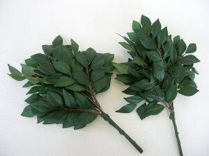  Ђ qTJL   P rVR VNt[ CTG} G} skm