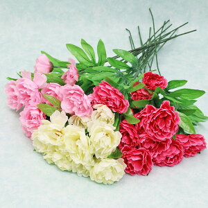  sIj[Xv[ 2760 FA\[g24{g VNt[ ڂ {^ O sN zCg  CTG} G} tan