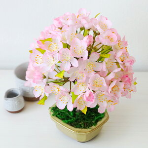   ~j~͎dăAW VNt[ TN CTG} G} t[AWg bgr