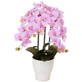 楽天市場 バレリーナ 造花 造花 人工観葉植物 花 観葉植物 花 ガーデン Diyの通販 楽天市場 バレリーナ 造花 造花 人工観葉植物 花 観葉植物 花 ガーデン Diyの通販