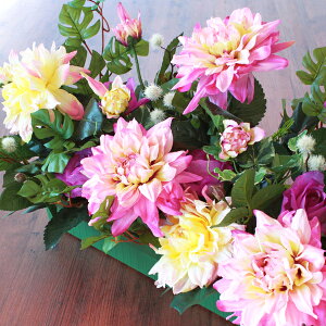  W{_Aƃp[v[Y̏t̉AW KN o CTG} G} VNt[ t[AW CeA t[AWg arg