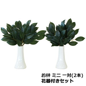   VNt[̂ ~j 25cm  (ԊtZbg) TJL  _I  CTG} G} Rvyasuz