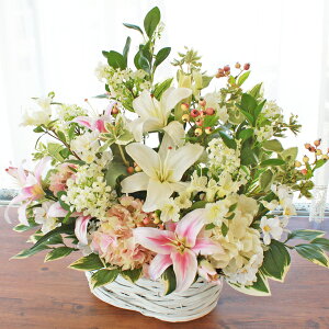  WX~hE_ccW̔̂AW VNt[ CTG} G} JS t[AW CeA t[AWg arg