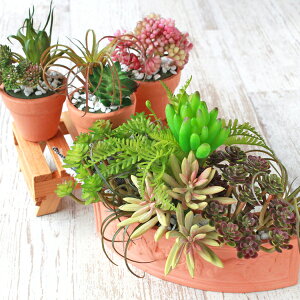  T{e̊񂹐Aƃ~jAW3Zbg fẲԊAW VNt[ CTG} G} t[AW CeA t[AWg arg