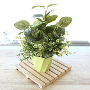  CeA ϗtA tBbgjAƃACr[̃AW tFCNO[ CeAO[ G} CTG} VNt[ mgr