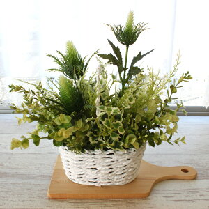  CeA ϗtA GWEƃ[Jƃ~jACr[̃AW tFCNO[ CeAO[ G} CTG} VNt[ mgr