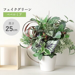  CeA ϗtA YC[ƃyy~ÃAW tFCNO[ CeAO[ G} CTG} VNt[ mgr