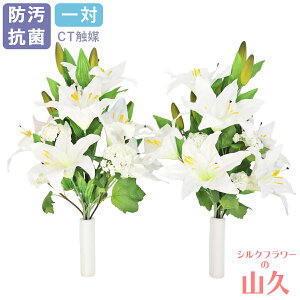 ���� ���� ���� �J�T�u�����J�ƃX�m�[�{�[���̉ԑ� ��� CT�G�} ����p ���d�p �� �z���C�g �V���N�t�����[ ���ފ� ���~ �����d ���� ���� �� ������ �R�v btb